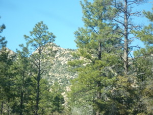Granite mountain can be seen through the trees