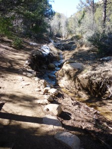 The melting snow from this winter's storms created beautiful trickling streams around the mountain